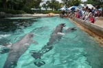 Sea World