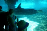 Sea World