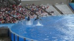 Sea World