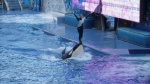 Sea World