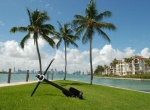 19236 Fisher Island Dr Unit: 19236